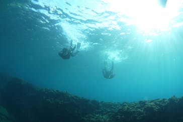 屋久島ガイドクラブに投稿された画像（2020/11/15）