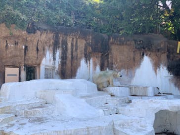 天王寺動物園に投稿された画像（2020/11/16）