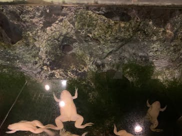 天王寺動物園に投稿された画像（2020/11/16）