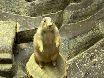 ひらかたパークに投稿された画像（2020/11/16）