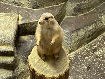 ひらかたパークに投稿された画像（2020/11/16）