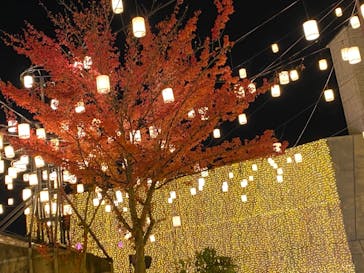 ひらかたパークに投稿された画像（2020/11/16）