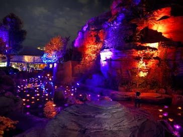 ひらかたパークに投稿された画像（2020/11/16）