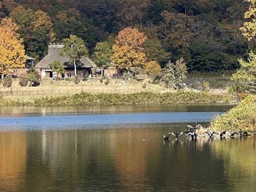 三田天然温泉　寿ノ湯に投稿された画像（2020/11/16）