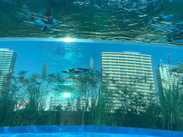 サンシャイン水族館に投稿された画像（2020/11/16）