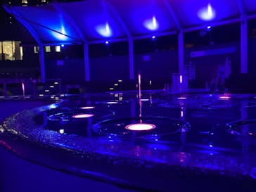 サンシャイン水族館に投稿された画像（2020/11/17）