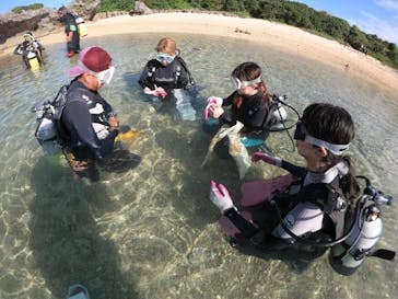 武藤潜水に投稿された画像（2020/11/17）