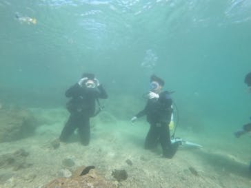 DIVING-SHOP SUNSに投稿された画像（2020/11/17）