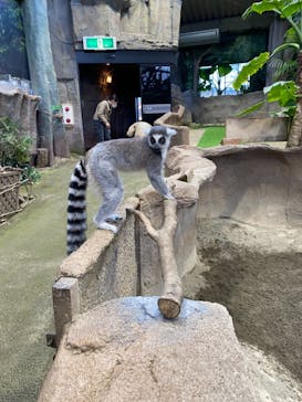 那須どうぶつ王国に投稿された画像（2020/11/17）