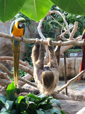 神戸どうぶつ王国に投稿された画像（2020/11/17）