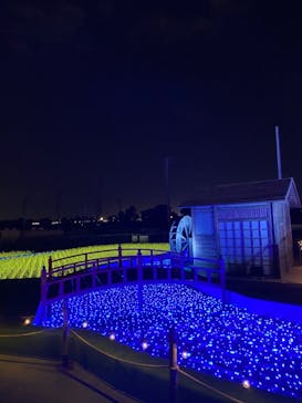 東京メガイルミに投稿された画像（2020/11/17）