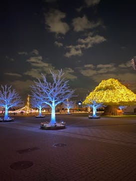 東京メガイルミに投稿された画像（2020/11/17）