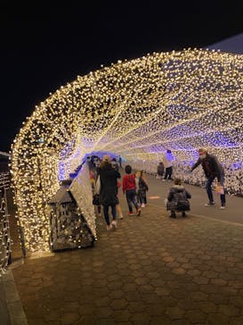 東京メガイルミに投稿された画像（2020/11/17）