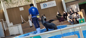 サンシャイン水族館に投稿された画像（2020/11/17）