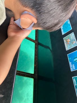 川平マリンサービスに投稿された画像（2020/11/17）