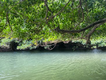 CHOROに投稿された画像（2020/11/17）