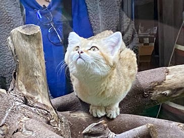 那須どうぶつ王国に投稿された画像（2020/11/18）