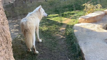 那須どうぶつ王国に投稿された画像（2020/11/18）