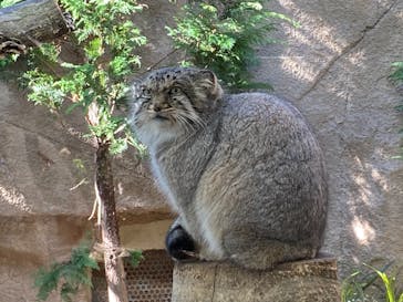 那須どうぶつ王国に投稿された画像（2020/11/18）