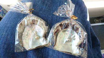 しながわ水族館に投稿された画像（2020/11/18）