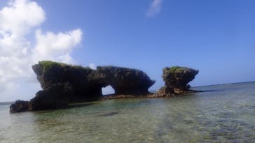 ダイビングショップ Sea Free（シーフリー）に投稿された画像（2020/11/18）