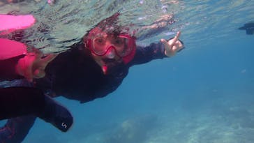 ダイビングショップ Sea Free（シーフリー）に投稿された画像（2020/11/18）