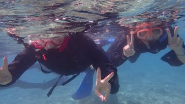 ダイビングショップ Sea Free（シーフリー）に投稿された画像（2020/11/18）