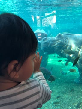 天王寺動物園に投稿された画像（2020/11/18）