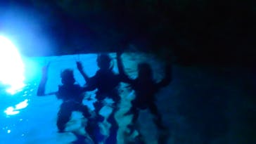 ダイビングショップ Sea Free（シーフリー）に投稿された画像（2020/11/18）