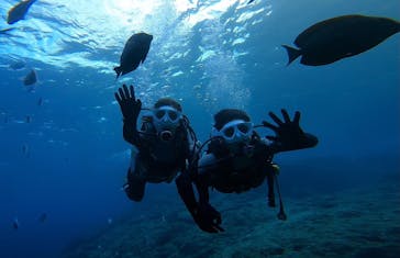 青の洞窟専門店　沖縄ダイビングショップ和に投稿された画像（2020/11/18）