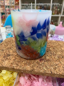 ずこうしつ〜sugamo〜に投稿された画像（2020/11/18）