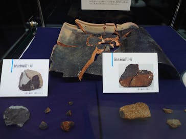 国立科学博物館に投稿された画像（2020/11/18）