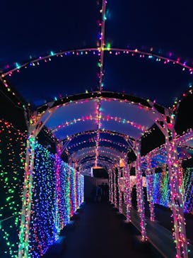 よみうりランド 遊園地に投稿された画像（2020/11/18）