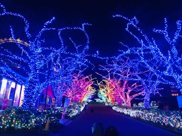 よみうりランド 遊園地に投稿された画像（2020/11/18）