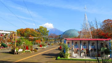 とっとり花回廊に投稿された画像（2020/11/18）