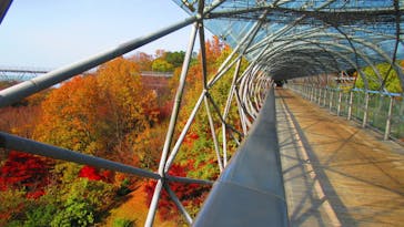 とっとり花回廊に投稿された画像（2020/11/18）