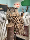 Moff animal cafe iias つくば店に投稿された画像（2020/11/18）