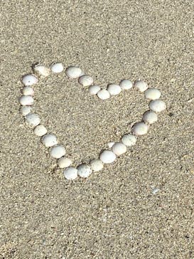 マリンズプロ宮古に投稿された画像（2020/11/18）