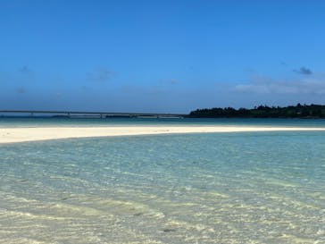 マリンズプロ宮古に投稿された画像（2020/11/18）