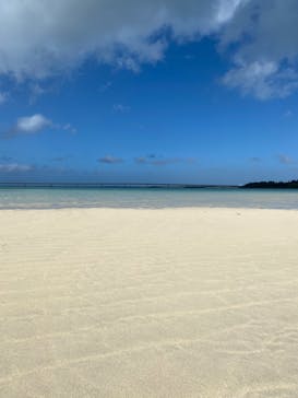 マリンズプロ宮古に投稿された画像（2020/11/18）