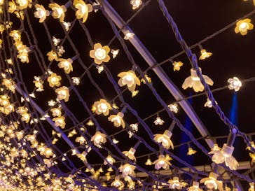 東京メガイルミに投稿された画像（2020/11/18）