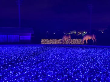 東京メガイルミに投稿された画像（2020/11/18）