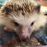 オービィ横浜に投稿された画像（2020/11/18）