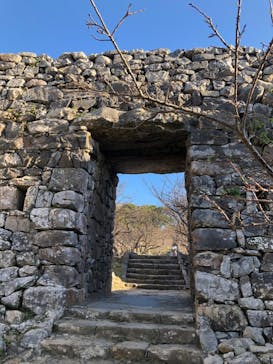 今帰仁城跡に投稿された画像（2020/11/18）