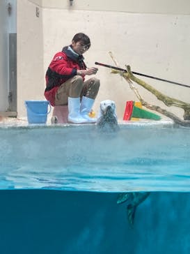 鳥羽水族館に投稿された画像（2020/11/19）