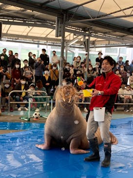 鳥羽水族館に投稿された画像（2020/11/19）
