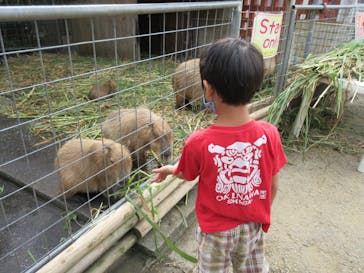 ネオパークオキナワに投稿された画像（2020/11/19）