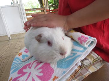 ネオパークオキナワに投稿された画像（2020/11/19）