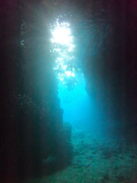 DIVING-SHOP SUNSに投稿された画像（2020/11/19）