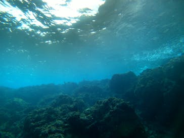 DIVING-SHOP SUNSに投稿された画像（2020/11/19）